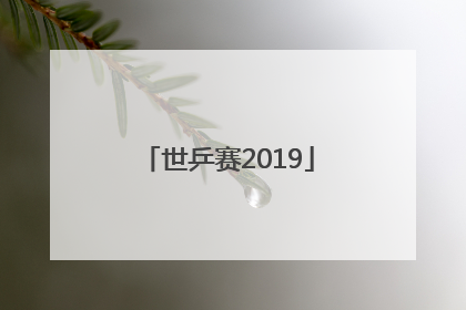 「世乒赛2019」世乒赛2022男单决赛冠军