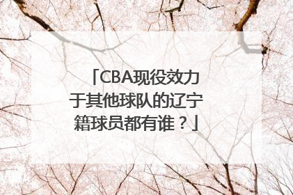 CBA现役效力于其他球队的辽宁籍球员都有谁？